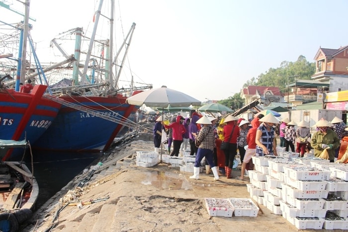 Về tránh bão, ngư dân khẩn trương vận chuyển hải sản bán cho thương lái. Ảnh: Việt Hùng