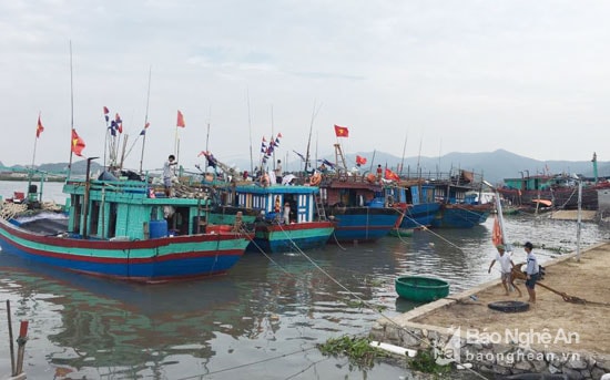 Tàu thuyền về neo trú tránh bão. Ảnh: Thanh Thủy