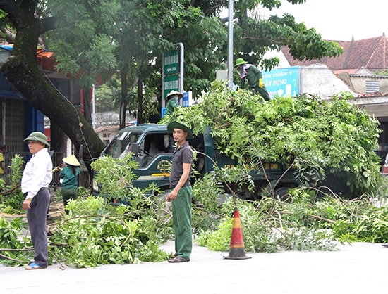 Thành phố đang tích cực chặt cây xanh