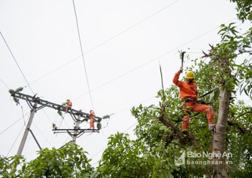 Công nhân Công ty điện lực Nghệ An giải tỏa hành lang đảm bảo an toàn cho lưới điện mùa mưa bão