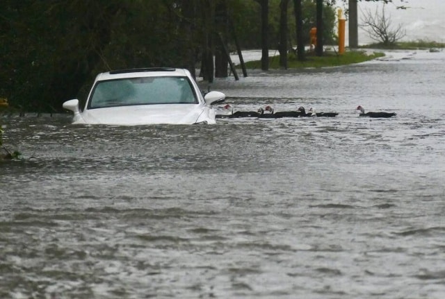 Siêu bão “quái vật” Irma ngày 10.9 đã đổ bộ vào bang Florida, khiến nhiều khu vực trong thành phố Miami chìm trong nước biển.