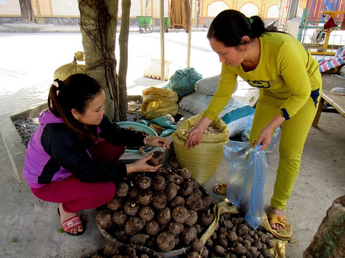 Khoai sọ - một trong những sản phẩm nổi bật của huyện Kỳ Sơn. Ảnh: Quang An