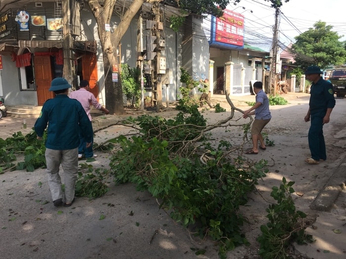 Người dân thị xã Thái Thái Hòa tiến hành chặt cành cây có nguy cơ gãy đổ; gia cố các vật dụng dễ rơi. Ảnh: Hoàng Long