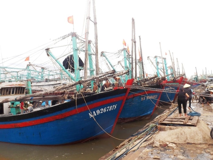  Hàng trăm tàu cá của ngư dân các xã Quỳnh Long, Quỳnh Thuận, Tiến Thuỷ.. đang tiến về cảng Lạch Quèn (Quỳnh Thuận) để neo đậu tránh bão. Ảnh: Việt Hùng