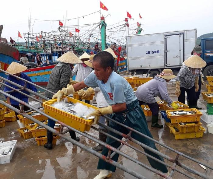 Vừa về cập bến, tàu cá NA 96368 TS do ông Trần Xuân Nguyên ở xã Quỳnh Long làm thuyền trưởng nhanh chóng vận chuyển hải sản dưới tàu lên bờ bán cho thương lái. Không khí thu mua hải sản khẩn trương hơn ngày thường nhằm đảm bảo thời gian chằng chống tàu thuyền, ứng phó với cơn bão số 10. Ảnh: Việt Hùng