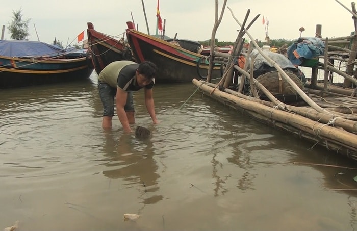 Ngư dân huyện Nghi Lộc chằng néo tàu thuyền phòng khi bão số 10 đổ bộ vào đất liền. Ảnh: Quang Dũng