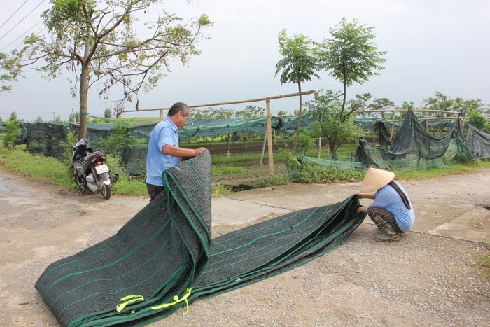 thu dọn nhà liwpwios. Ảnh: Thiên Thiên