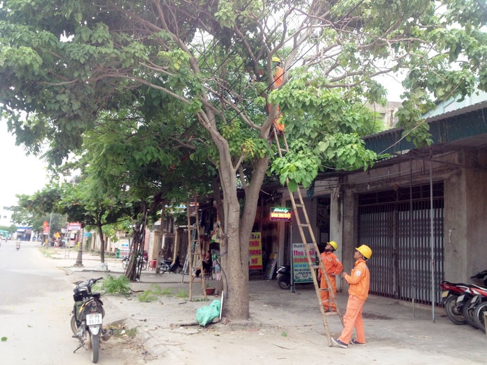  Ngành điện Yên Thành phát tỉa cây cối có hệ thống đường dây đi qua. Ảnh: Thái Dương