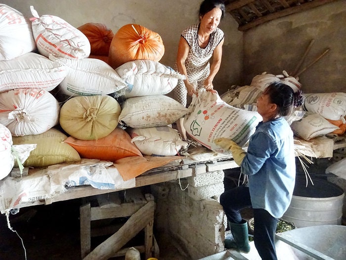 Gia đình bà Ngô Thị Thanh ở xóm Phú Tập, xã Khánh Thành kê kích tài sản, đối phó với mưa bão. Ảnh: Thái Dương