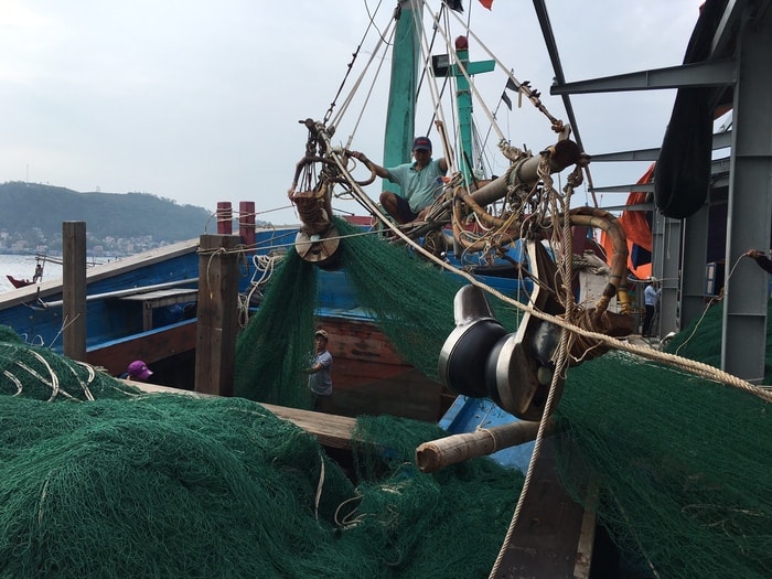 100% tàu thuyền ở Hoàng Mai đã vào nơi trú bão an toàn. Ảnh: Thanh Thủy