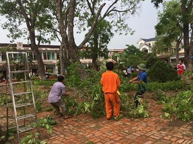 Đoàn viên thanh niên Diễn Châu tham gia chặt cây cối trước bão số 10.