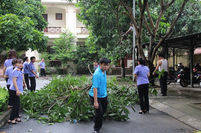 cán bộ, công chức Viện Kiểm sát nhân dân tỉnh tự cắt tỉa cây xanh trong khuôn viên cơ quan. Ảnh: Minh Chi