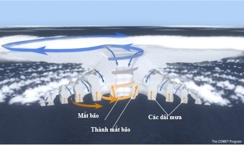 sơ đồ cấu trúc bão với các thành phần cơ bản: mắt bão, thành mắt bão và các dải mưa xoắn.