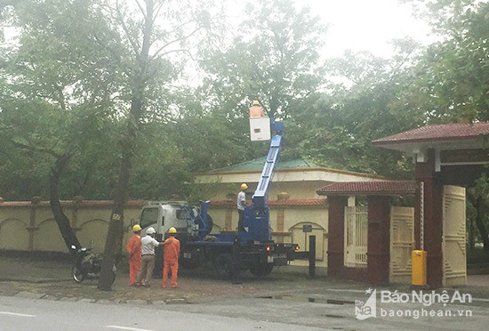 Điện lực thành phố Vinh cắt tỉa cây, giải toả hành lang an toàn lưới điện trong mưa bão. Ảnh: Việt Phương