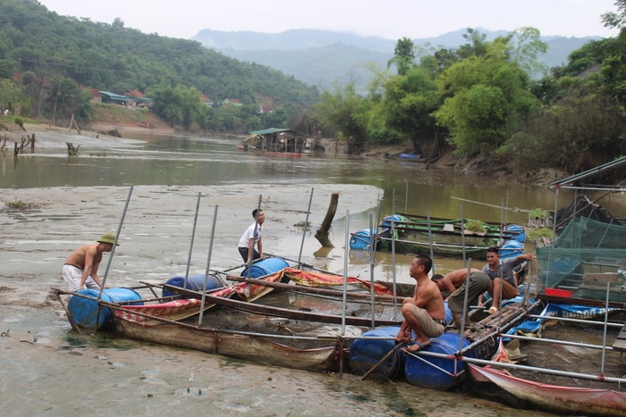 Người nuôi cá nỗ lực đẩy bè ra chỗ còn có nước để cứu cá. Ảnh: Đ.T 