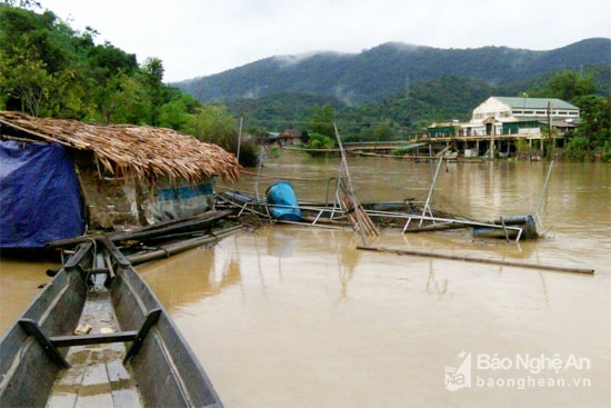Lồng cá bè nuôi trên sông ở Tam Thái, Tương Dương bị lũ cuốn trôi hư hỏng. Ảnh: Văn Trường.