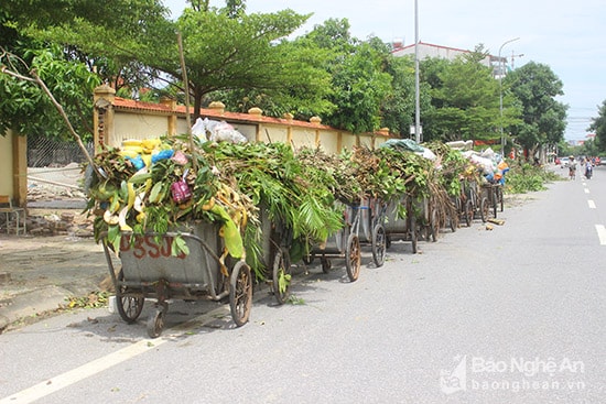 Nhiều xe thu dọn rác xong nhưng lại tập kết thành dãy dài tại đường Herman, phường Hưng Phúc. Ảnh: Quang An