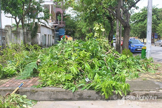 Ông Nguyễn Văn Trung, phường Hưng Dũng cho biết : Ngay từ sang sớm, gia đình tôi cùng với các nhân viên vệ sinh môi trường thu dọn rác nhưng không xuể. Các điểm tập kết phải chờ xe rác đến bốc dỡ nhưng do quá tải nên từ sáng tới trưa vẫn không thấy đâu. Ảnh : Quang An