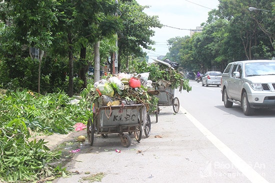  Một số hộ dân tại đường Lê Hồng Phong cũng thản nhiên xả rác thải sinh hoạt bên cạnh rác thải từ cây cối sau bão, bốc mùi hôi thối. Ảnh : Quang An