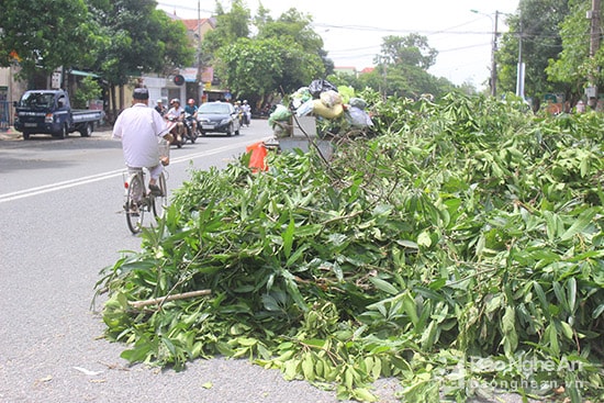 Ông Nguyễn Văn Trung, phường Hưng Dũng cho biết : Ngay từ sang sớm, gia đình tôi cùng với các nhân viên vệ sinh môi trường thu dọn rác nhưng không xuể. Các điểm tập kết phải chờ xe rác đến bốc dỡ nhưng do quá tải nên từ sáng tới trưa vẫn không thấy đâu. Ảnh: Quang An