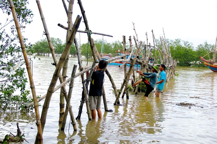 Tình cảnh diễn ra tương tự tại xóm vạn chài Hoà Lam, xã Hưng Hoà. Trong cơn bão số 10, nước sông Lam dâng cao vào tận nhà dân, gần như mọi cây cầu dân sinh đều bị đổ sập. Tuy trước đó, chính quyền đã triển khai di dời dân đến nơi an toàn, song mất mát về của cải rất đáng kể. Trong ảnh, người dân đang xây, và chèo néo lại cầu. Ảnh: Mỹ Nga