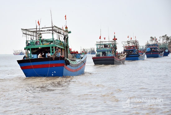  Bắt đầu tư 10 giờ trưa ngày 17/9, những đoàn thuyền rới bến cá Lạch Cờn, Lạch Quèn nối nhau ra khơi sau những ngày nghỉ ngơi tránh trú bão số 10 an toàn. Ảnh: Xuân Hoàng