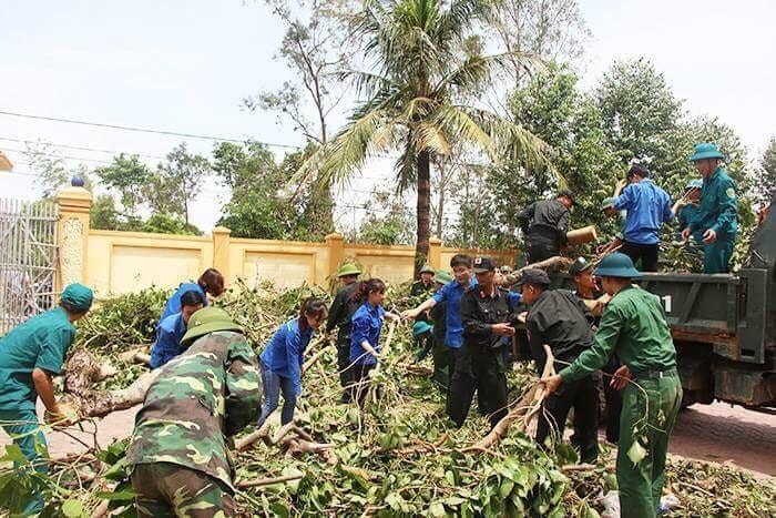 Thu dọn cây và cành cây đổ gãy sau bão. 