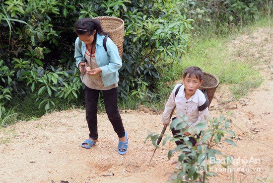 Trẻ em nhiều khi cũng phải lao động sớm. Từ tấm bé, chiếc gùi đã đè nặng những tấm lưng bé nhỏ.