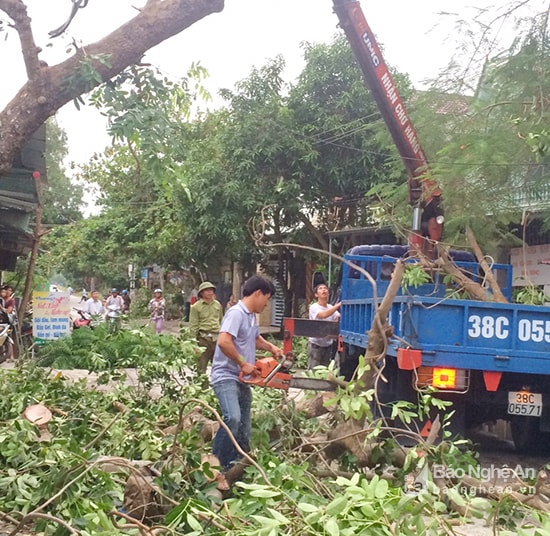 Dọn bỏ cành cây đổ gãy, thông đường giao thông sau bão ở Hưng Nguyên. Ảnh: Phú Hương
