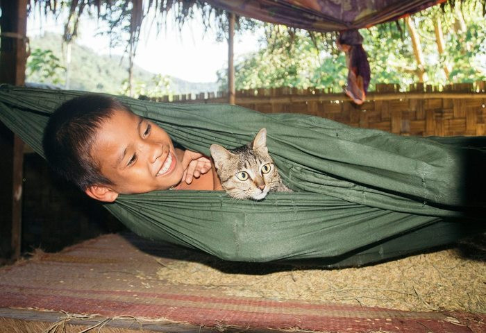 Còn đây là hình ảnh đầy hồn nhiên, đáng yêu của một cậu bé khác nằm trên võng cùng với chú mèo. Ảnh: Nguyễn Thành