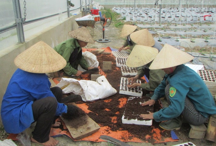 Công nhân đang tiến hành. Ảnh: Minh Hạnh