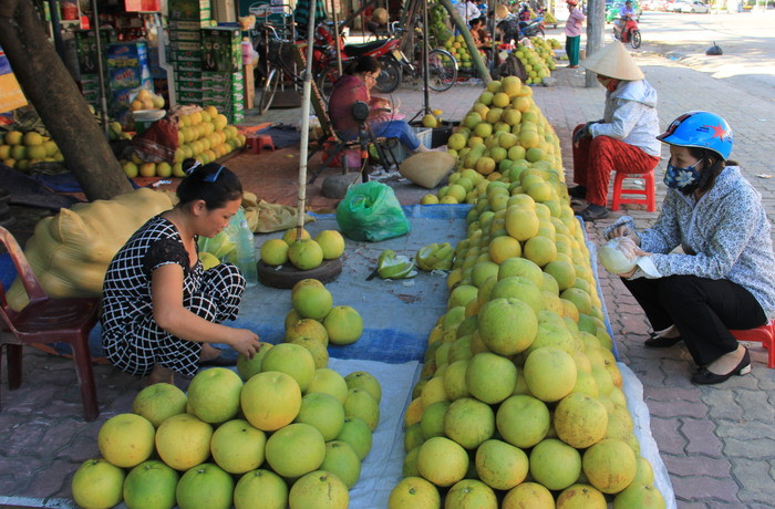 Bưởi tăng giá mạnh. Ảnh: Thiên Thiên