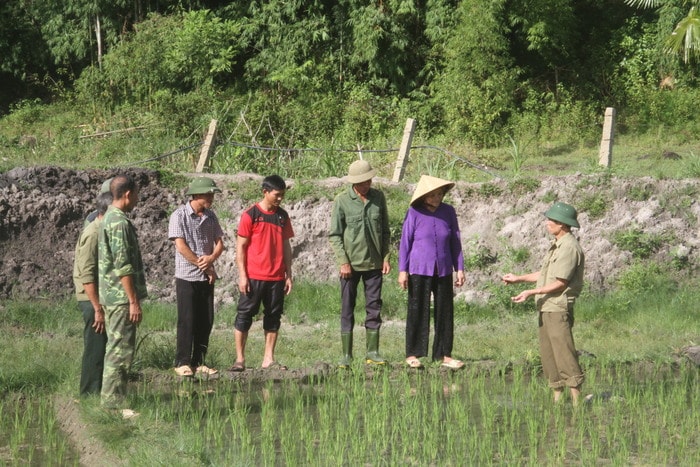 Hội Cựu chiến binh xã Mường Nọc (Quế Phong) hướng dẫn cách trồng lúa nước cho bà con đồng bào dân tộc thiểu số ở bản Hăn. Ảnh: Ngọc Đại