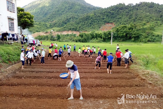 Mô hình rau an toàn cho học sinh bán trú được thực hiện từ 5 năm nay ở Trường PTDTBT – THCS Tri Lễ đang góp phần giúp cải thiện bữa ăn hoc học sinh nơi đây