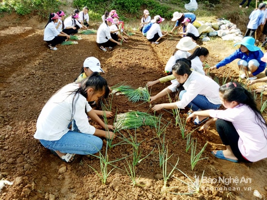 Qua những sinh hoạt mang tính ngoại khóa này, học sinh được rèn luyện thêm về kỹ năng sống.