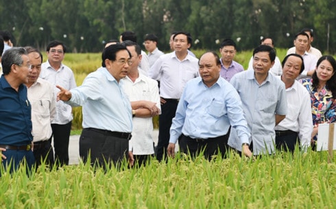 tam nhin the ky tu chuyen bay dac biet cua thu tuong hinh 1