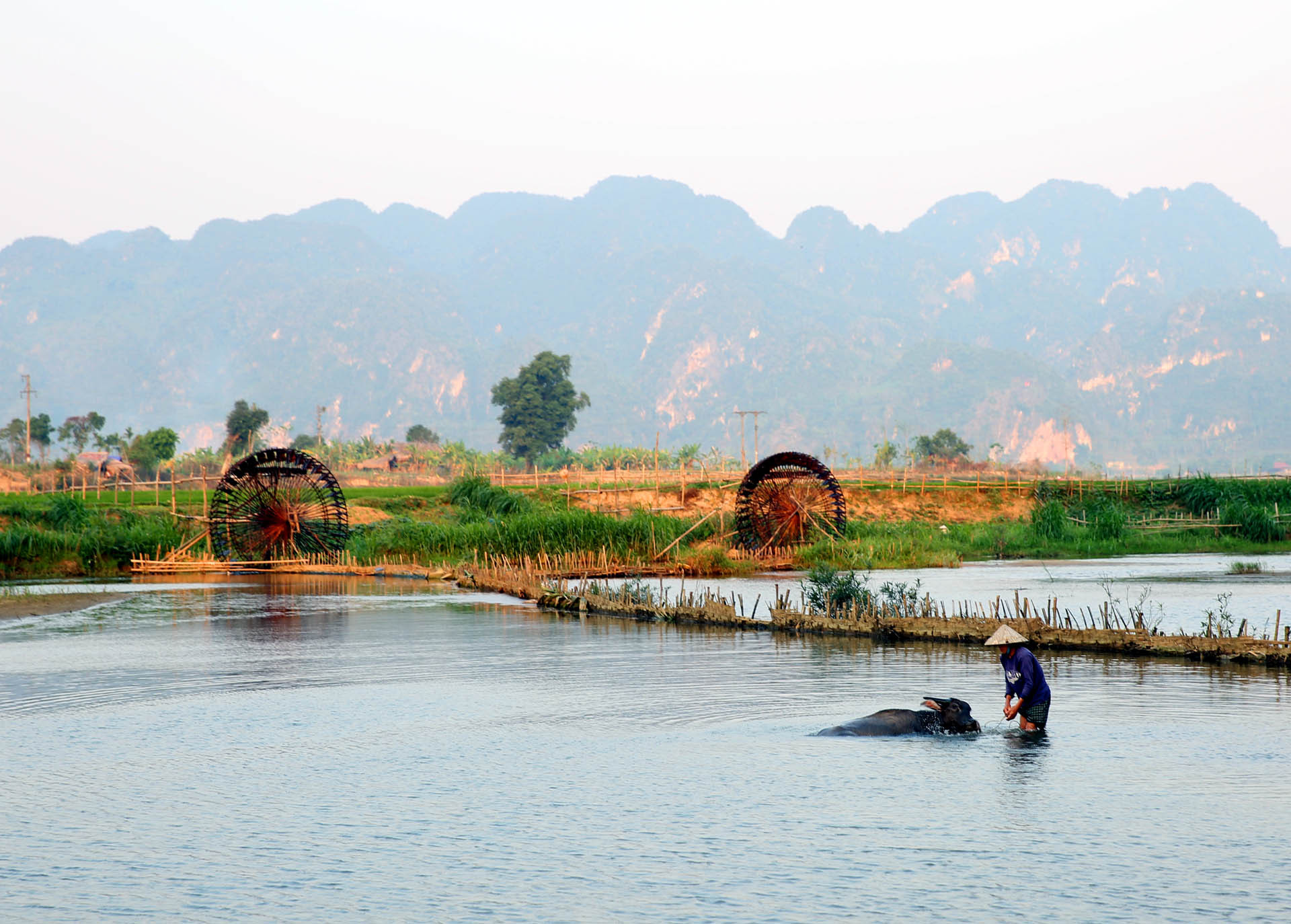 Bức tranh đẹp ở núi rừng. Bức tranh quê mướt xanh với cánh đồng lúa đương thì con gái, dòng suối trong veo, trên bờ cỏ, chú trâu thảnh thơi gặm cỏ, là một hình ảnh quen thuộc và nó trở nên đặc biệt hơn bởi những chiếc guồng mải miết quay ở phía xa.