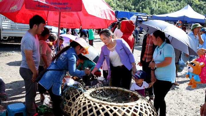 Hay các loài hàng hóa từ chăn nuôi như lợn, gà, trâu, bò, dê...