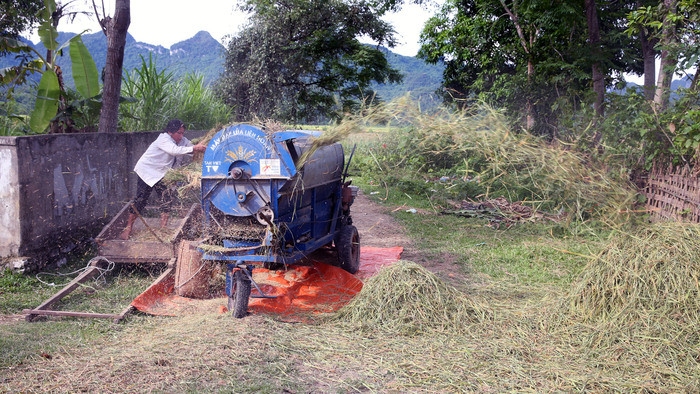 Chiếc máy tuốt khiến mùa gặt trở nên nhẹ nhàng hơn đối với nông dân miền núi.