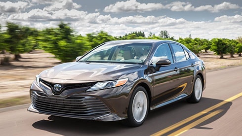 toyota-thay-doi-thiet-ke-cuoc-phieu-luu-cua-ga-khong-lo-1