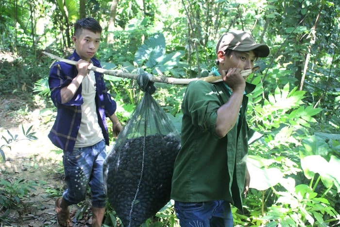 Ông Hoàng Văn Trí (54 tuổi) ở xóm Tiền Chính xã Võ Liệt (Thanh Chương) cho biết: “Nghề 