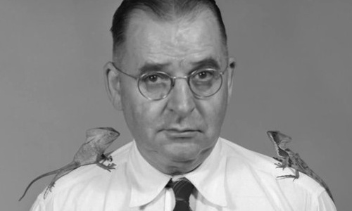 Karl P. Schmidt bị rắn cắn trong lúc tiến hành nghiên cứu. Ảnh: First to Know.