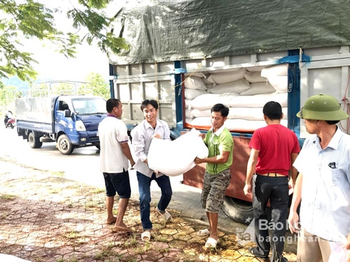 Các giáo viên nhận gạo về trường