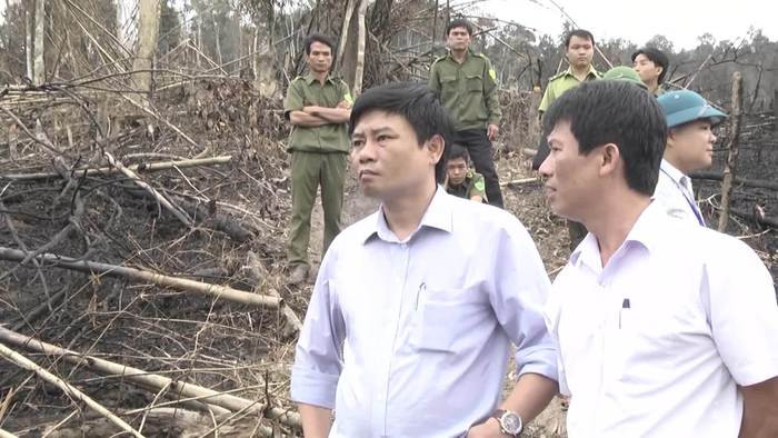 Bí thư Huyện ủy Qùy Hợp, ông Hồ Lê Ngọc đã vào trực tiếp hiện trường để kiểm tra và đề nghị các cơ quan chức năng điều tra, làm rõ xử lý nghiêm vụ hủy hoại rừng theo quy định của pháp luật. Ảnh: Đài Qùy Hợp