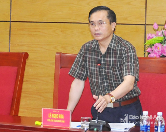 Phó chủ tịch UBND tỉnh Lê Ngọc Hoa phát biểu kết luận tại hội nghị. Ảnh: TH