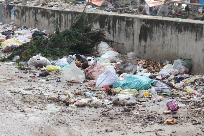 Đoạn đê thuộc khối Tân Hải, Hồng Hải là điểm thường xuyên tập kết rác thải. Ảnh: Việt Hùng