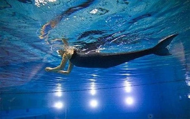 Chiếc “đuôi” giúp Nadya Vessey, một phụ nữ ở Auckland, New Zealand, có thể bơi được như cá.