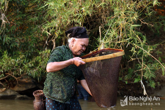 75 tuổi, bà Lô Thị Diệu ở bản Xoóng Con (xã Lưu Kiền - Tương Dương) vẫn ra suối xúc cá về cải thiện bữa ăn. Ảnh: Đào Thọ