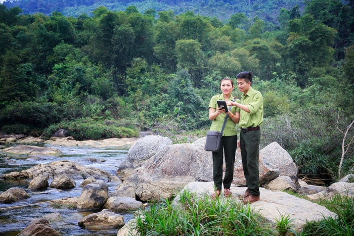 Cán bộ kiểm lâm tuần tra công tác bảo vệ rừng tại Khu bảo tồn thiên nhiên Pù Hoạt. Ảnh: Mỹ Nga