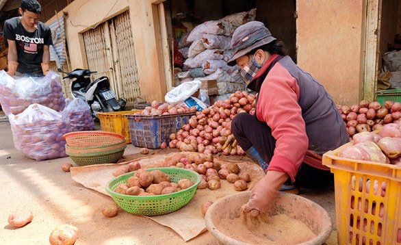 Tiểu thương lấy đất đỏ bôi lên khoai tây Trung Quốc